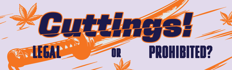 Cuttings! The current legal situation in Europe!